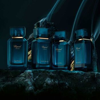 Or de Calambac EDP
